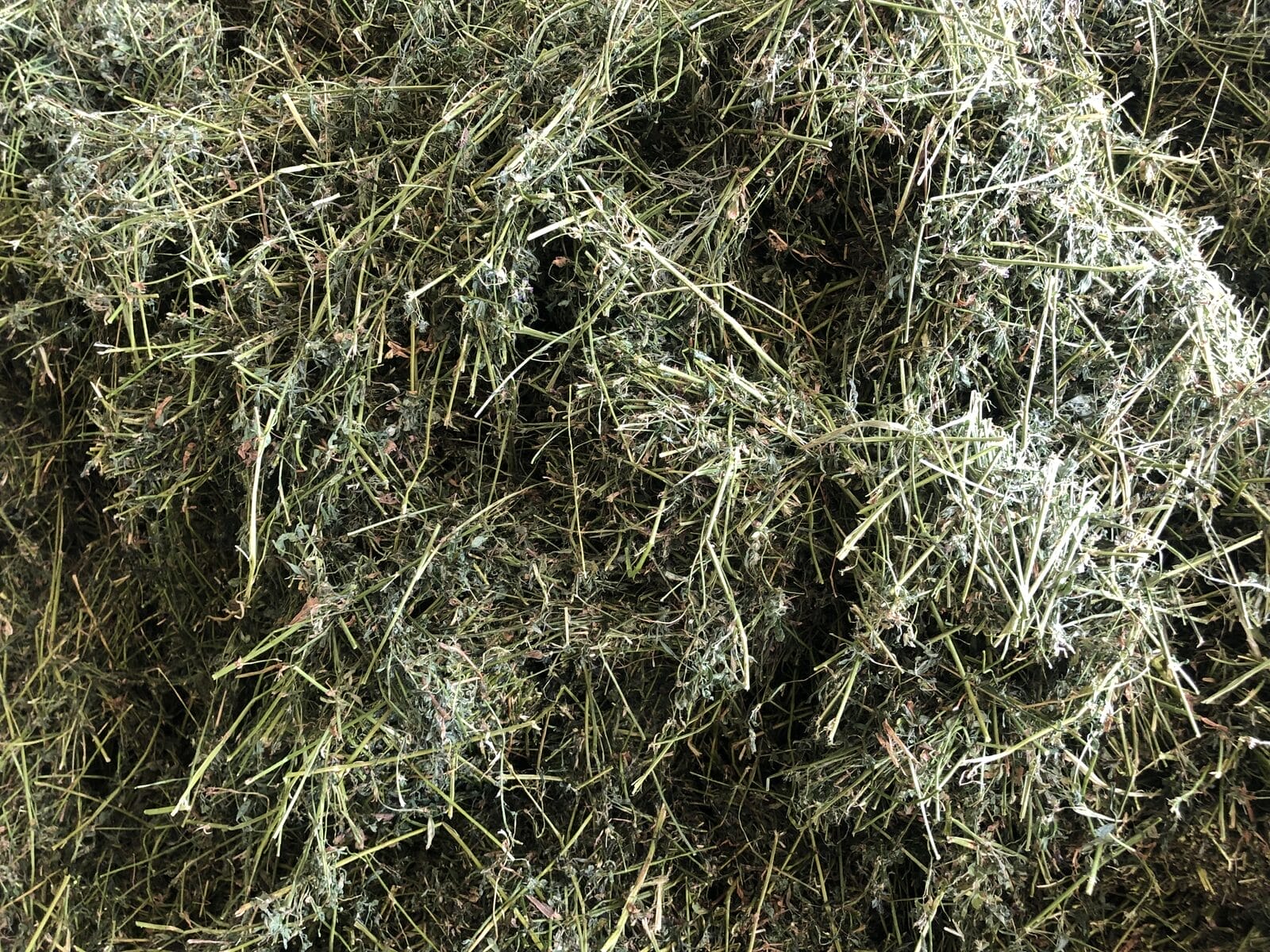 Calitate ridicată a lucernei